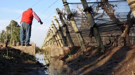 Ofrecen una capacitación gratuita sobre estabilización de la factura eléctrica para regantes