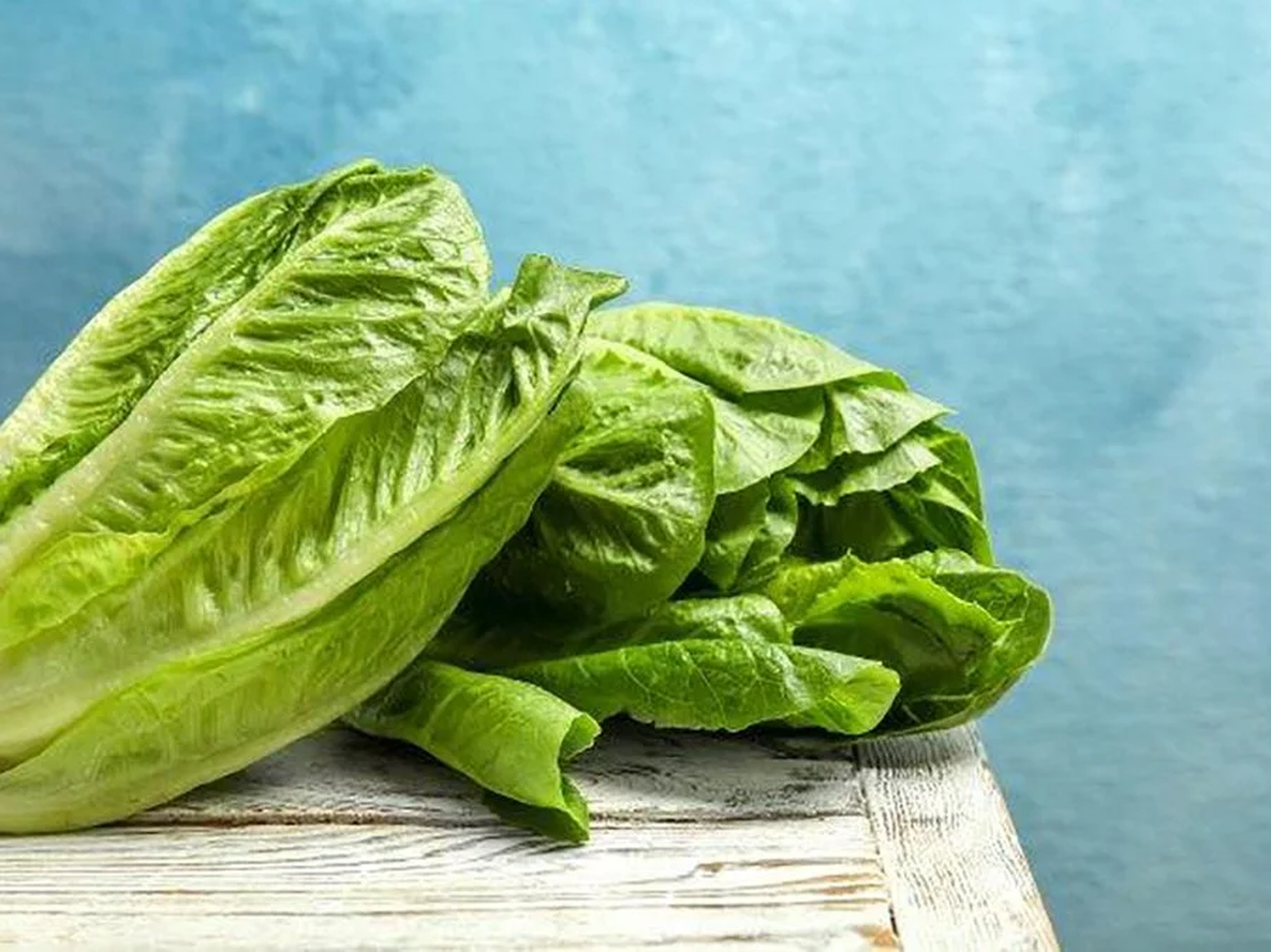 Verduras: ¿dónde guardar la lechuga para que no se ponga fea?