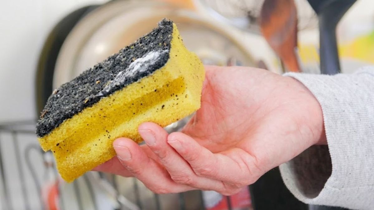 La esponja está llena de bacterias: un microbiólogo explica cómo se limpia y que puede reemplazarla