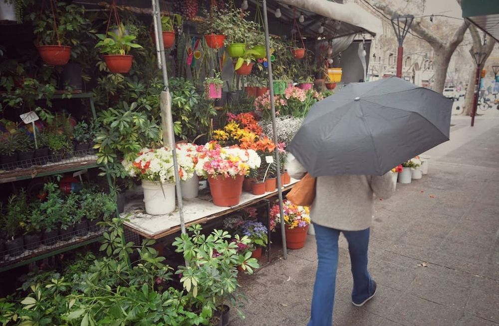 En menos de un mes, robaron y destozaron dos veces un tradicional puesto de flores del Kilómetro Cero. Foto: Ignacio Blanco / Los Andes.