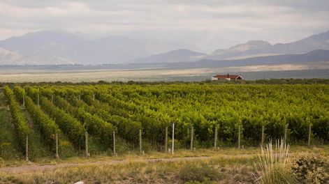 Los Andes | PDNDKPZ7IRD4LFAUIYEMRSTXVA.JPG?quality=75&smart=true&auth=3eec6e56a2058080a83a976c53d39f7c10527fb93addfcefef310aa1b9756efd&width=980&height=640