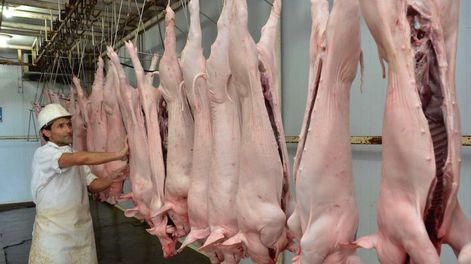 Rivadavia: asaltan un matadero y se llevan más de 300 cerdos