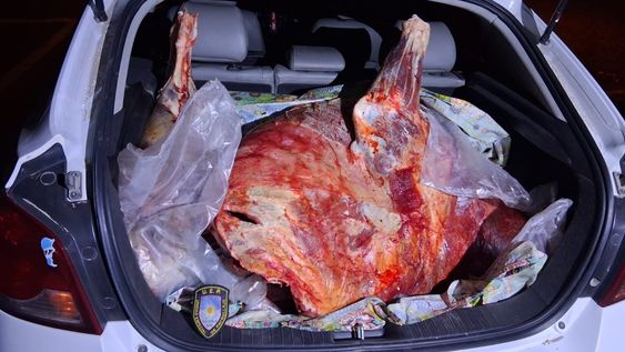 San Carlos: transportaba dos patas de vaca y fue detenido
