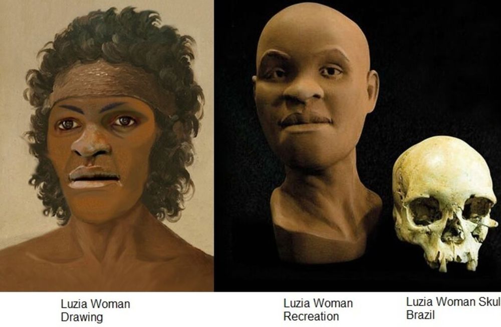 ¿Milagro homo sapiens? Creen que el cráneo de 11 mil años sobrevivió al incendio en Brasil