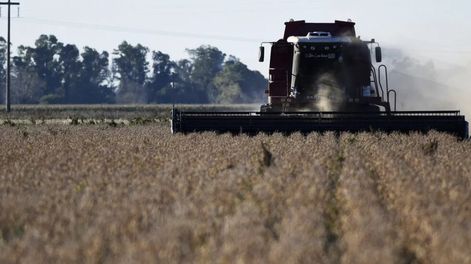 Arca cerró la registración del cupo de US$7.000 millones previsto por el decreto 682/2025.