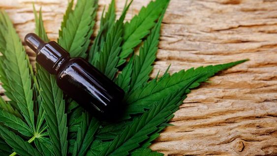 Es un proyecto abarcativo que pueda satisfacer principalmente la demanda y la necesidad que van a tener los privados, pero también las habilidades profesionales y técnicas del personal ligado a esta tarea, sostuvo María Virginia Coraglia.