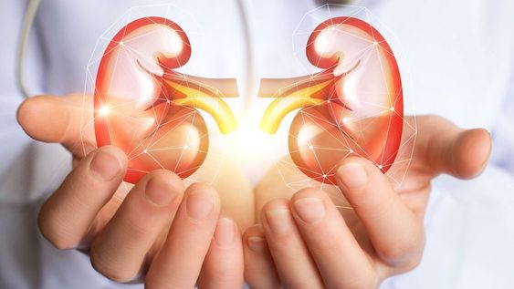 Cálculos renales: la poderosa fruta que te ayuda a mejorar los riñones si la consumís diariamente