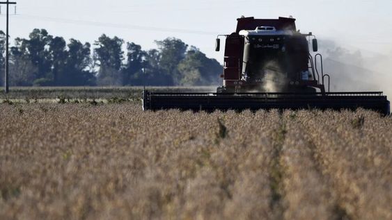 Arca cerró la registración del cupo de US$7.000 millones previsto por el decreto 682/2025.