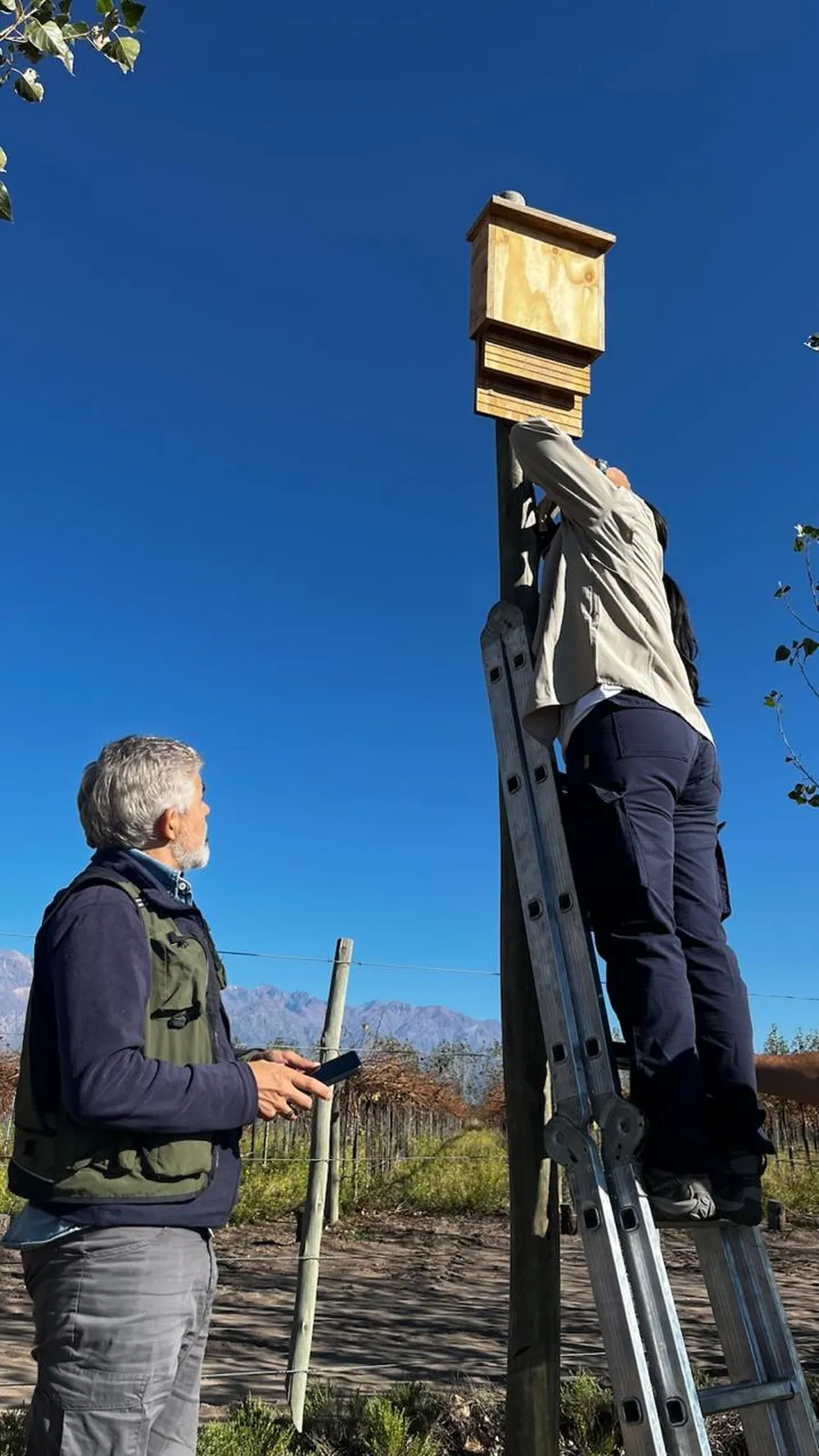 En el terreno. Los investigadores Raquel Alvarado y Pablo Cuello revisando cajas nido para evidenciar la presencia de murciélagos, en San Carlos. 