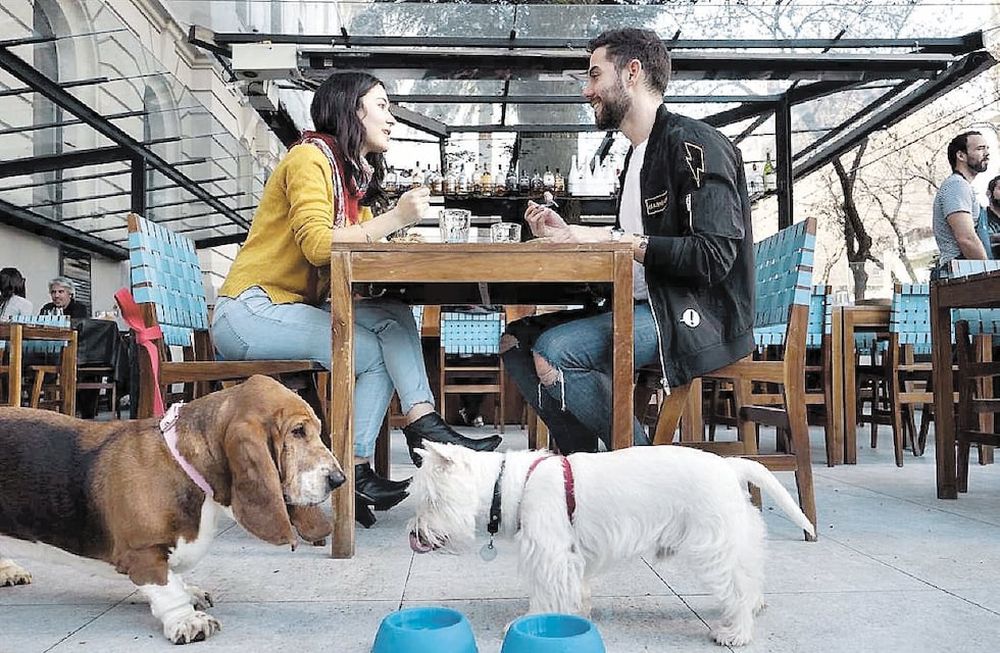 Onda ‘Pet Friendly’: el boom de llevar a tu perro a todos lados