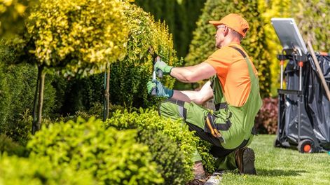 Cuánto cobra un jardinero por limpiar y mantener un jardín chico en abril 2026