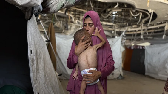 La ONU declara oficialmente la situación de hambruna en la Franja de Gaza