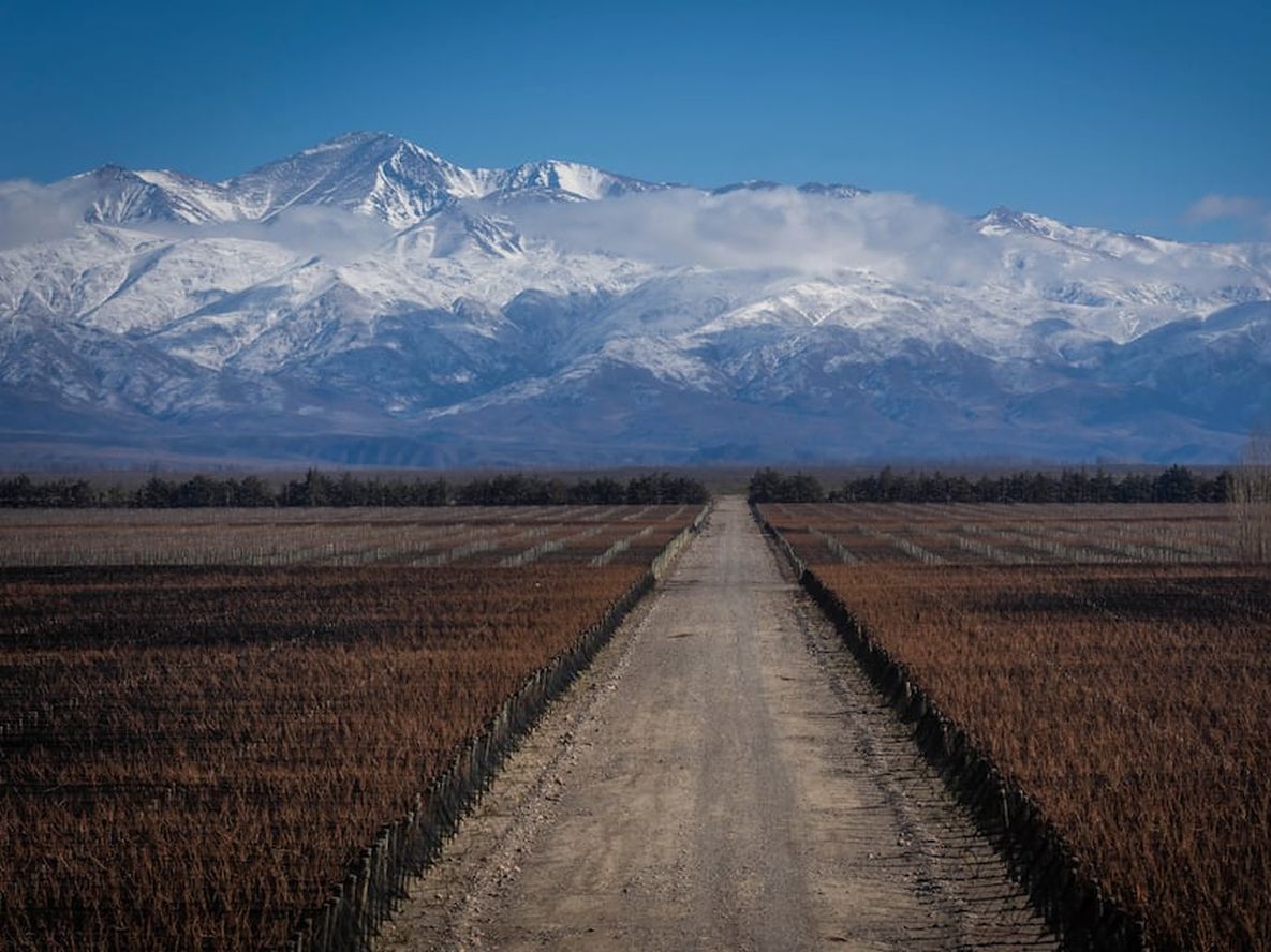 Los mendocinos prefieren los paisajes verdes sobre los áridos, asignándoles mayor valor estético a los primeros. / Foto: Ignacio Blanco / Los Andes