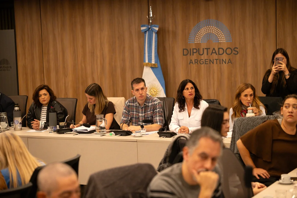 Diputados: insisten con el pedido de juicio político a Lugones por los recortes en Discapacidad