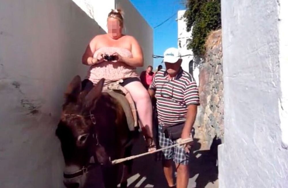 Prohíben que las personas con sobrepeso se suban a los burros en una isla de Grecia
