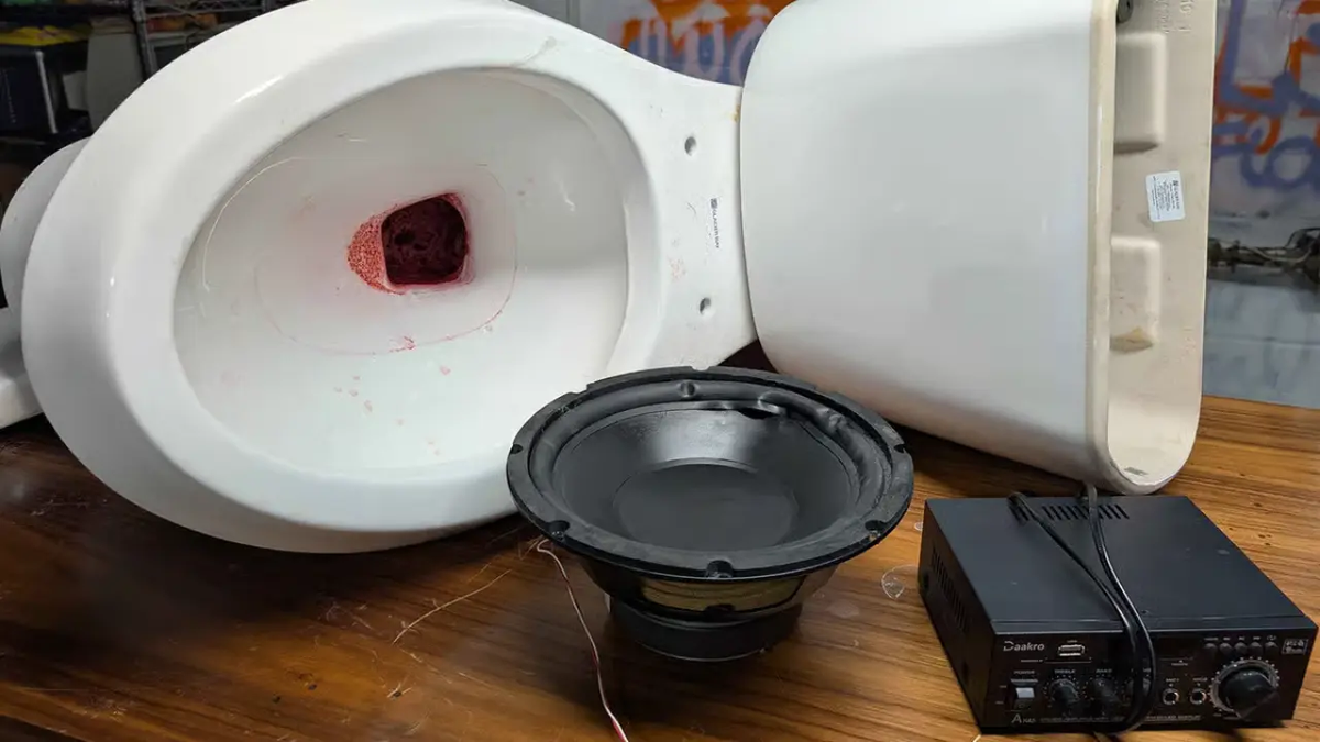 Experimento insólito: un streamer convirtió un inodoro en un altavoz y se volvió viral