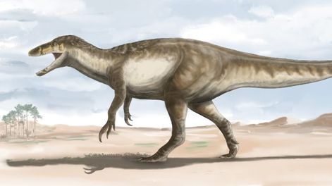 Reconstrucción en vida de Maip realizada por el ilustrador argentino Agustín Ozán.