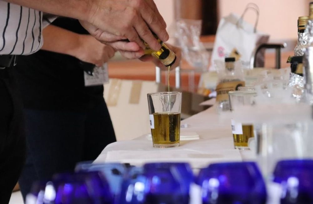 Se realizó en Turquía el concurso internacional de aceites de oliva virgen extra Anatolian IOOC 2023, y 13 productos mendocinos fueron reconocidos por su calidad.