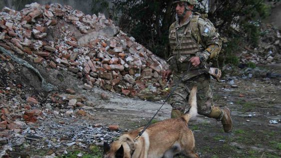 Un suboficial de Tunuyán viajará a Venezuela junto a su perro rescatista para colaborar tras el terremoto.