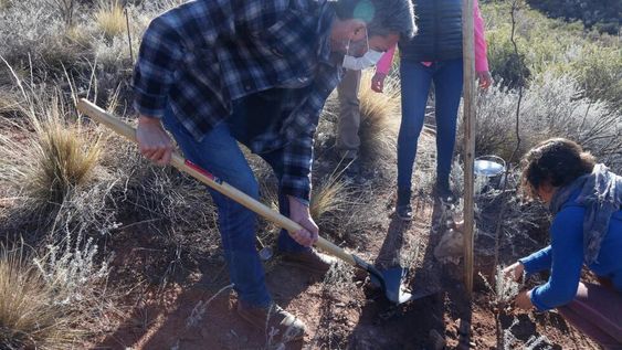 La Ciudad festeja el Día Nacional y Provincial del Árbol y el Mes de la Forestación