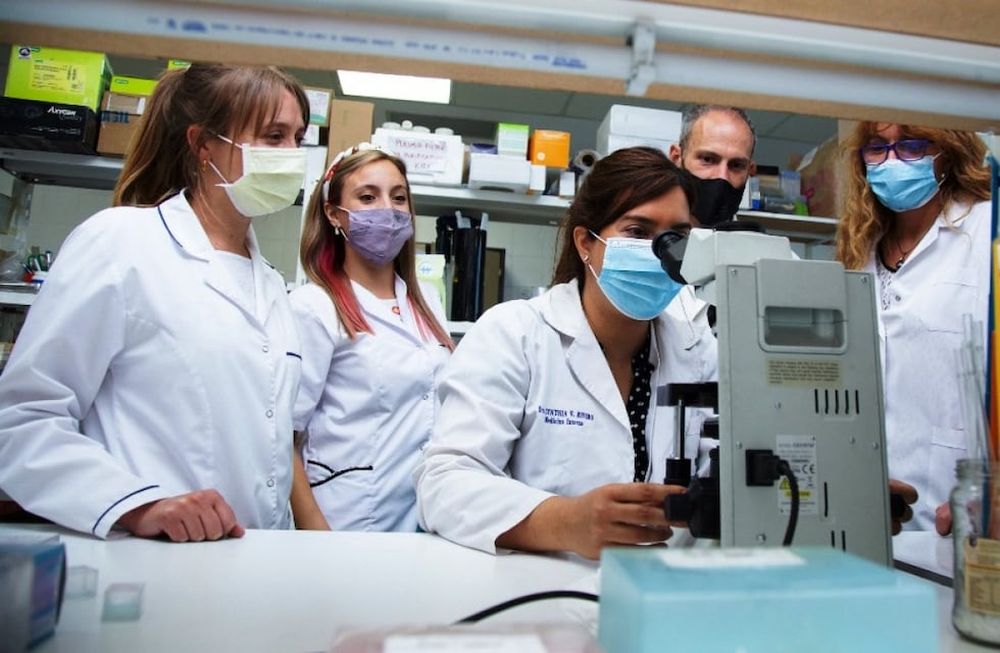 El equipo de científicos conducido por la doctora en Ciencias Biológicas Patricia Romano, del Instituto de Histología y Embriología de Mendoza (IHEM), dependiente de la UNCUYO y el Conicet.