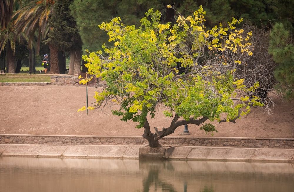 Parque General San MartínOtoño en MendozaFoto: Ignacio Blanco / Los Andes