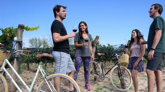 En Mendoza existen 180 establecimientos que están abiertos al público, siendo el mayor destino del enoturismo del país / Foto Los Andes