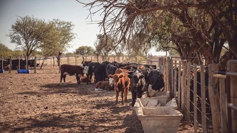 Cuál podría ser el impacto de los costos crecientes en dólares en la competitividad de las economías regionales.