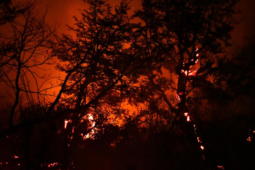 Declararon la Emergencia Ígnea ante los incendios en la Patagonia&nbsp;