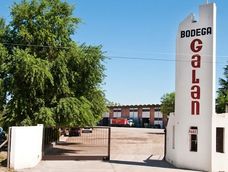 Conflicto en Bodega Antonio González: trabajadores cumplen cinco días de asamblea por falta de pago de sueldos y aguinaldos.
