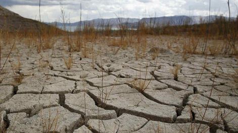 Cambio climático / Gentileza
