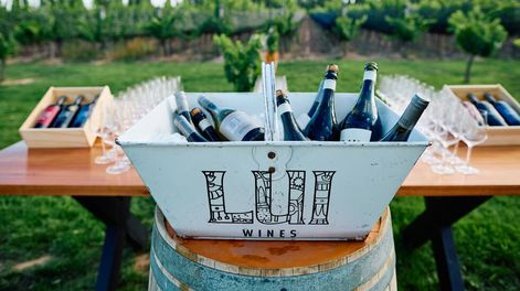 La propuesta que no te podes perder de LUI Wine Patio