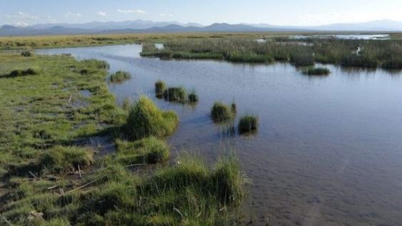 Educación para la biodiversidad: conservación de la diversidad biocultural