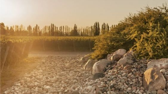 Paraje Altamira ocupa un lugar central en las rutas del vino de Mendoza y alberga viñedos emblemáticos como Finca Piedra Infinita, de Bodega Zuccardi, reconocida a nivel internacional. &nbsp;