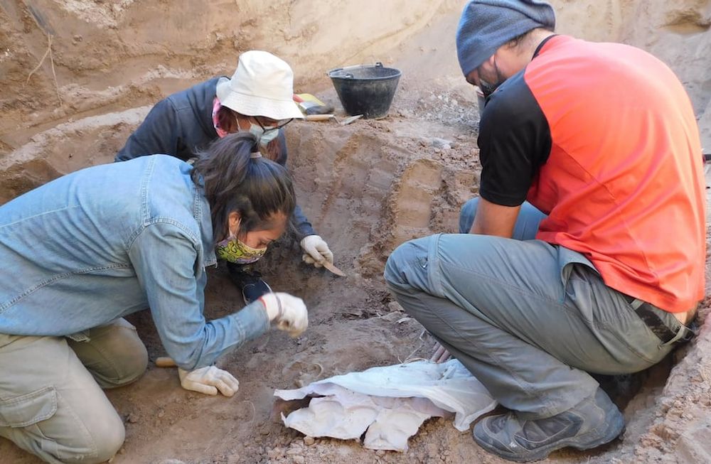 Misterio por restos óseos en el Este: no descartan que sean pueblos originarios víctimas de una matanza. Foto: Gentileza: Pablo Sebastián Giannotti.