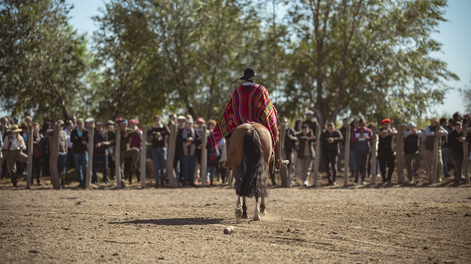 Fiesta de la Ganadería: cuándo será el Día de Campo y qué novedades trae