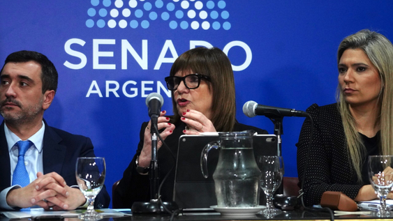 Patricia Bullrich tomó la decisión de retirar el capítulo de la ley de Tierras del proyecto oficial.
