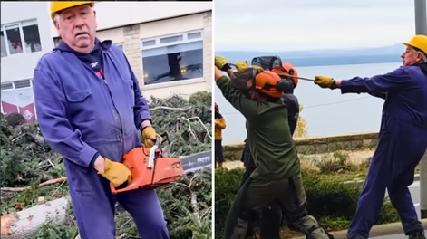 El intendente de Bariloche tomó una motosierra y cortó los pinos de la Costanera: Eran un riesgo