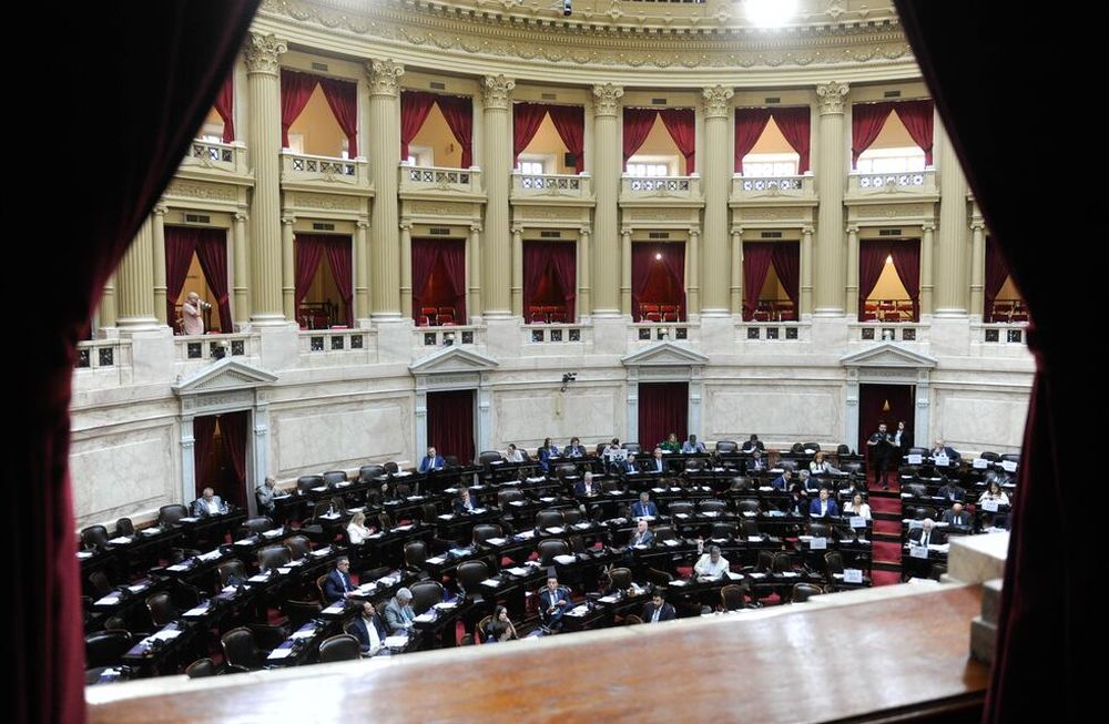 El 10 de diciembre se renueva la mitad de la Cámara de Diputados y un tercio del Senado (Foto: Federico López Claro)