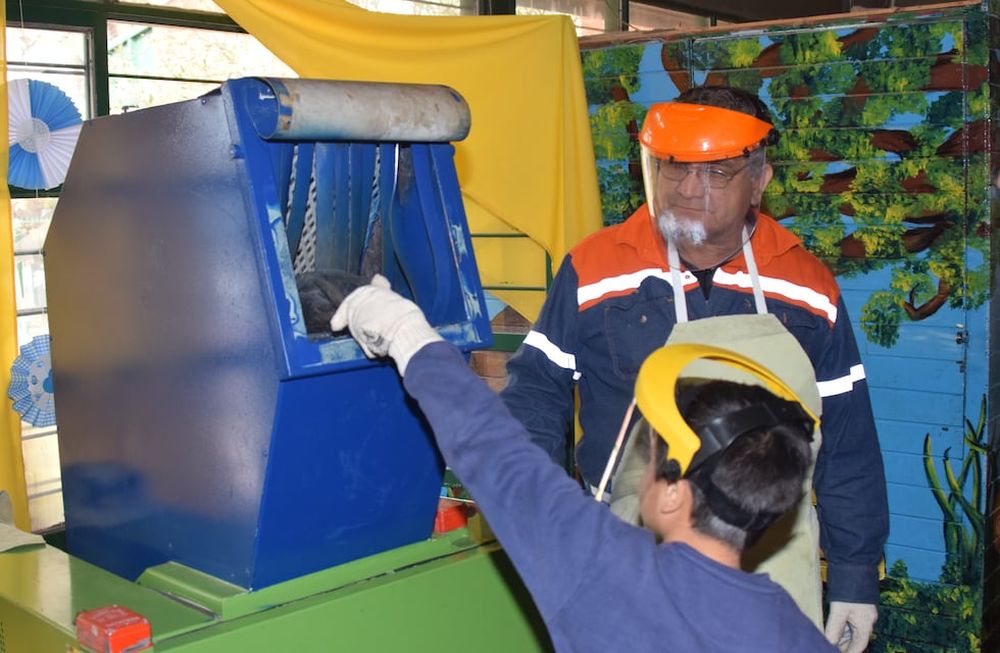 Alumnos de Godoy Cruz aprenden sobre educación ambiental