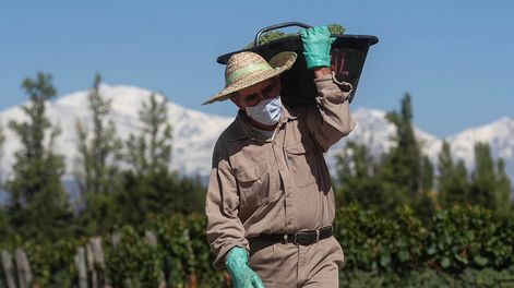 Los cosechadores son los trabajadores del sector privado con los sueldos más bajos.