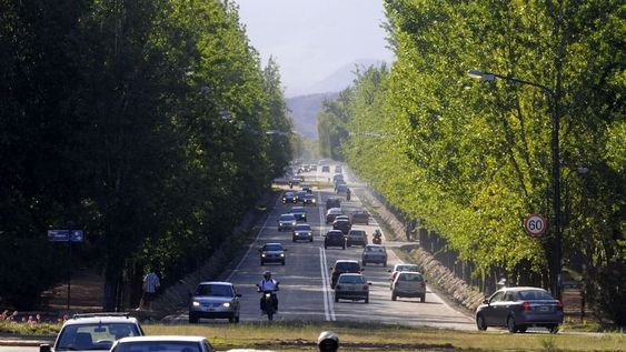 Un grupo de legisladores pretende aprobar un proyecto de ley modificatorio de la 7874 totalmente regresivo que pone en serio riesgo al arbolado público mendocino