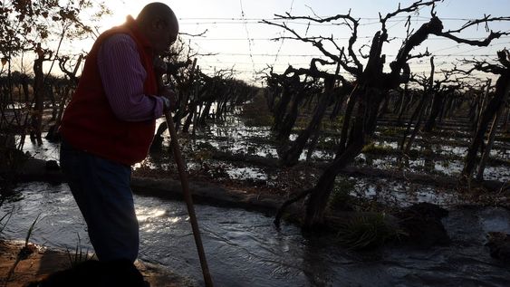 Aun sin consumo, aumenta la luz en pozos agrícolas