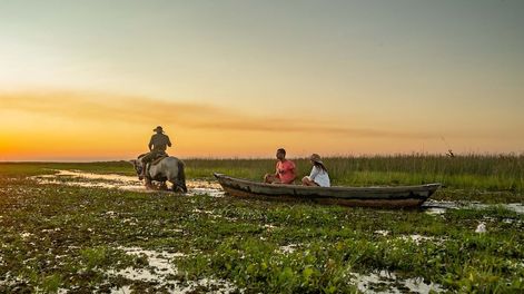 Los Andes | La travesía en lancha por el sinuoso arroyo Carambola recorre paisajes profundos del estero hasta llegar al Paraje Yahaveré. Foto: Matías Kebak / Rumbos