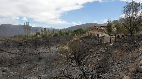 Los Andes | “Nos pareció un paisaje dantesco”, la descripción de un investigador en un primer recorrido por la zona del pedemonte incendiadaEn la foto:  Portal SuizoFoto: Orlando Pelichotti