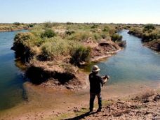 La diversidad biológica cumple 25 años de protección jurídica pero necesita mayor apoyo del Estado.