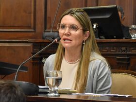 Griselda Petri, diputada de la UCR.