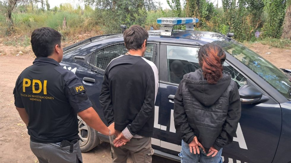 Desbarataron un desarmadero clandestino y recuperó siete autos robados