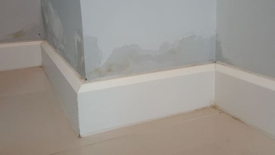 Barreras hidrófugas: lo que mata es la humedad