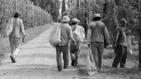 El director de la Oficina Judicial contra la Trata alertó en Aconcagua Radio sobre la explotación en Cuyo